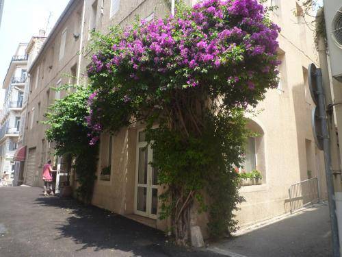 Appia Hotel, Cannes