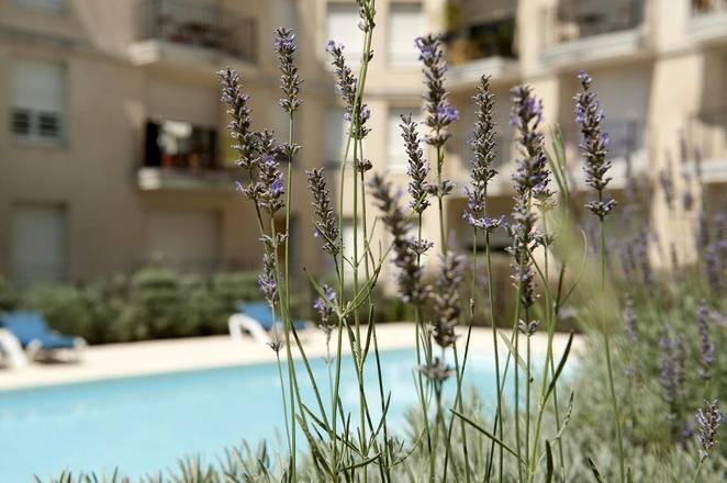 Aparthotel Adagio Access Bordeaux Rodesse, Bordeaux
