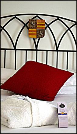 Avignon Grand Hotel, Avignon