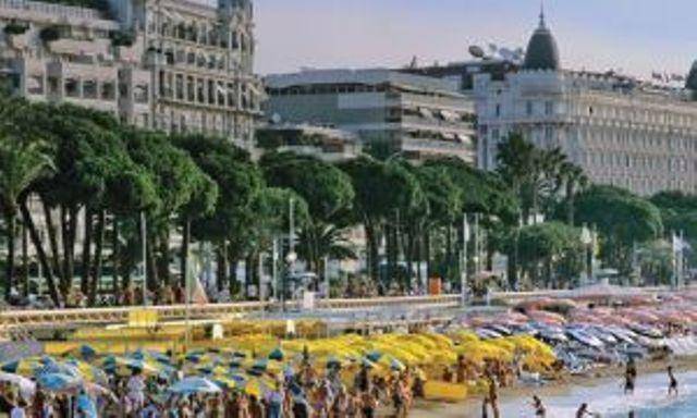 Little Palace, Cannes