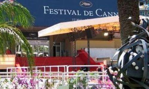Little Palace, Cannes